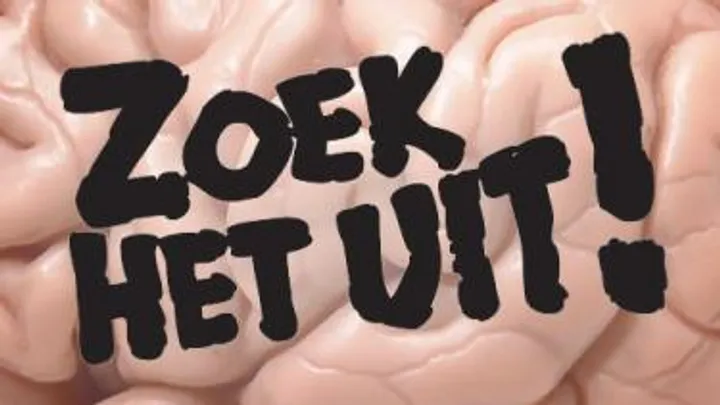 Tekst ‘Zoek het uit!’ in zwarte letters op achtergrond van roze hersenen.